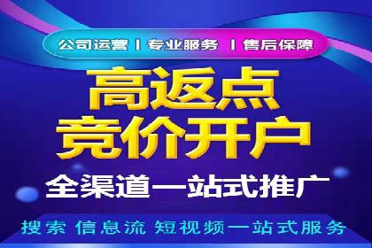SEM精准广告投放的五大成功案例